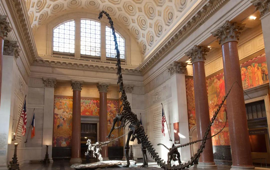 미국 자연사 박물관 티켓